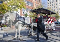 a man is walking down the street while talking on his cell phone next to a horse drawn carriage