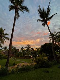 two palm trees are in the foreground as the sun sets over a tropical park