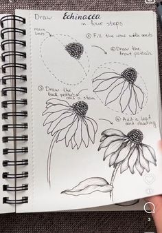 an open notebook with drawings of flowers on the pages and instructions for how to draw them