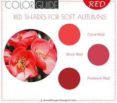 Soft Autumn Red Lipstick, Shaded Soft Autumn, Soft Autumn Red, Red Color Shades, Toned Autumn, Soft Autumn Deep, Soft Autumn Palette