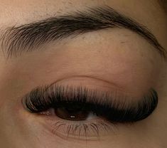 Veyes cashmere trays  11-12-13-14-16 d curl .05 #veyes #volumelashes #volumelashextensions #cateyelashes C Curl Eyelash Extensions Cat Eye, C Curl Cat Eye Eyelash Extensions, Volume Cat Eye Lash Extensions D Curl, Cat Eye Volume, Volume Cat Eye Lash Extensions, Volume Cat Eye, Cat Eye Lash Extensions, Fox Eye Lash Extensions L Curl, 0.07 D Curl Lash Extensions