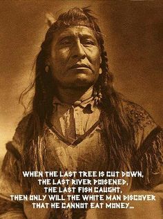 When the last Blackfoot Indian, Edward Curtis, Sioux Indian, American Indian History, The Americans, Indian History