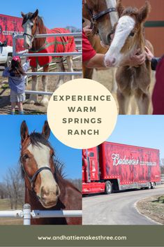 several pictures of horses and farm equipment with text overlay reading experience warm springs ranch