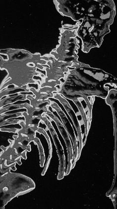 an image of a skeleton in black and white