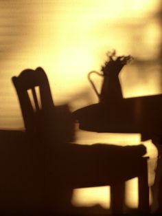 the shadow of two chairs and a vase on a table