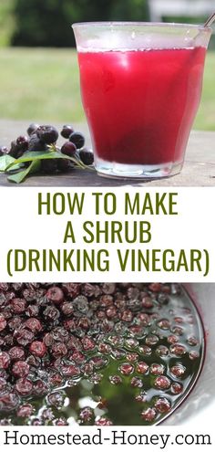 how to make a shrub drinking vinegar