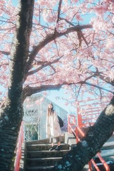 a woman standing at the top of some stairs in front of a tree with pink flowers