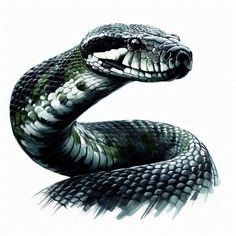 a drawing of a snake with its mouth open and it's tongue hanging out