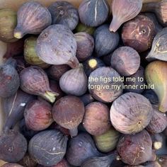 the figs hold me to forever my inner child