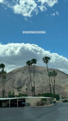 palm trees line the street in front of a mountain with clouds above it and a parking lot