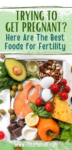 Trying to Get Pregnant? Here Are The Best Foods for Fertility Foods For Fertility, Fertility Diet Recipes, Fertility Smoothie, Vegetarian Substitutes, Fertility Nutrition, Fertility Foods, Fertility Diet, Pregnancy Guide, Baby Pregnancy