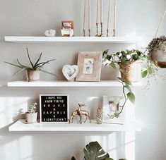 three white shelves with plants, pictures and other decorative items on them in a living room