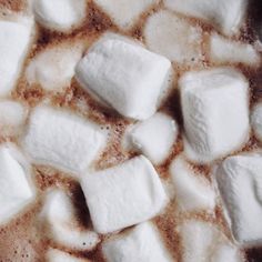 marshmallows are sitting on top of hot chocolate