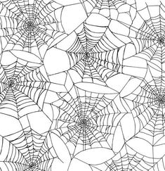 a spider web pattern is shown in black and white