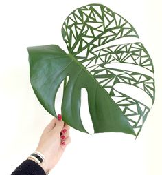 a person holding up a large green leaf