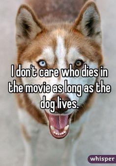 a dog with its mouth open and the words i don't care who dies in the movie as long as the dog lives