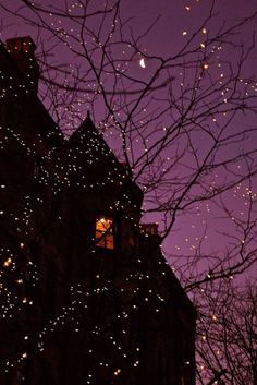 a building with lights on it and trees in the foreground at night, against a purple sky