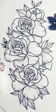 a pencil drawing of roses on paper