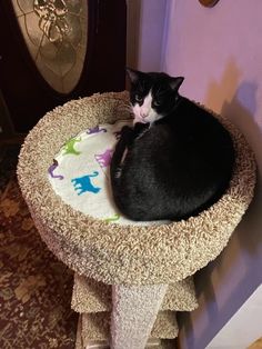 a black and white cat laying on top of a scratching post