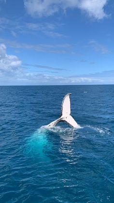 a whale's tail is sticking out of the water