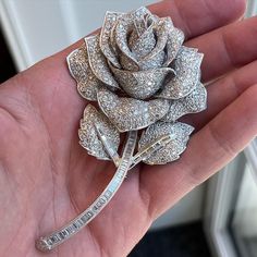 Jewellery Sale, Elegant Jewellery, Jewellery Design Sketches, Rose Brooch, Diamond Dust, Floral Jewelry, Sterling Silver Brooch, Cubic Zirconia Jewelry, Diamond Brooch