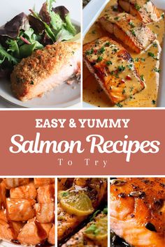 easy and yummy salmon recipes to try in the kitchen or on the table for dinner