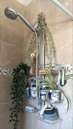 a shower head with plants growing on it