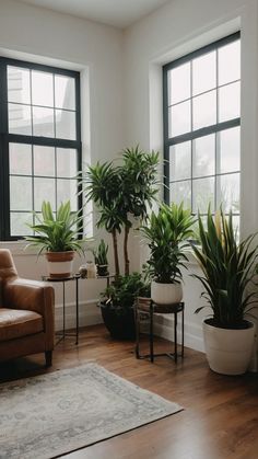 a living room filled with lots of potted plants on top of wooden flooring