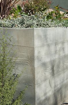 a man riding a skateboard down the side of a cement wall next to a bush