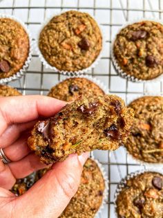 a hand holding a chocolate chip muffin over a cooling rack full of muffins