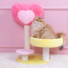 a fluffy cat sitting in a kitty bed with a heart shaped scratching post on the floor