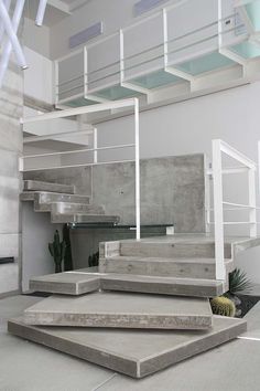 some concrete steps and plants in a room