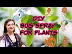 a woman standing in front of plants with the words diy bug spray for plants