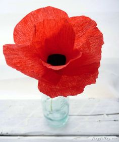 a red flower is in a glass vase