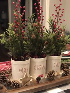 three christmas planters with pine cones and berries in them on a tray next to a window