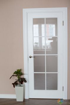 a potted plant sitting in front of a white door with glass panels on it