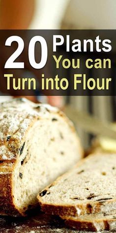 a loaf of bread sitting on top of a wooden table with the words 20 plants you can turn into flour