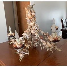 an arrangement of seashells and candles on a table