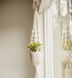 a plant hanging from a window sill next to a potted plant on a hook