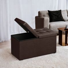 a living room scene with focus on the couch and storage box that is open to reveal something