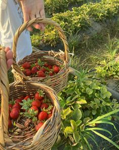 two baskets filled with strawberries sitting on the ground