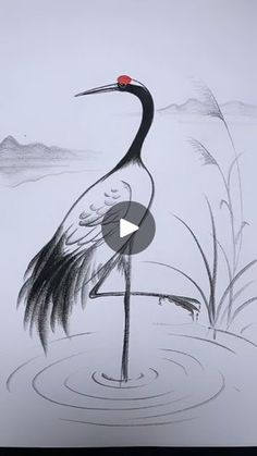 a drawing of a crane standing in the water