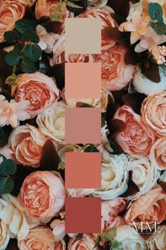 a bunch of flowers with different shades of pink and brown on them, including roses