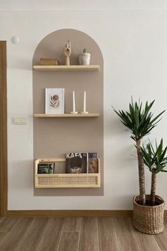 a potted plant sitting on top of a wooden shelf next to a bookshelf