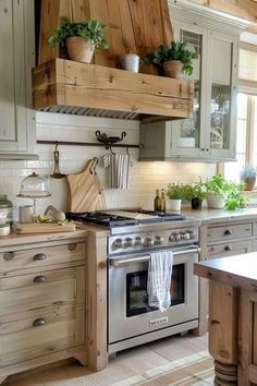 a kitchen with an oven, stove and potted plants on the shelf above it