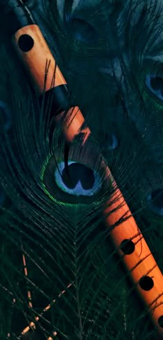 an orange flute sitting on top of a peacock feather