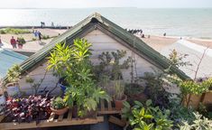 there are many potted plants on the roof of this house next to the beach