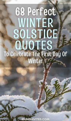 Christmas quotes Solstice Quotes Winter, Winter Solstice Greetings, Happy Winter Solstice Quotes, Yule Quotes Winter Solstice, Winter Solstice Poem, Winter Solstice Wishes, Happy Yule Winter Solstice, Yule Art Winter Solstice, Yule Quotes