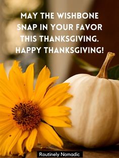 a yellow flower sitting next to a white pumpkin on top of a wooden table with the words, may the wishbone snap in your favorite this thanksgiving happy thanksgiving