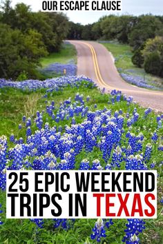 the road with blue flowers and trees on it that says 25 epic weekend trips in texas